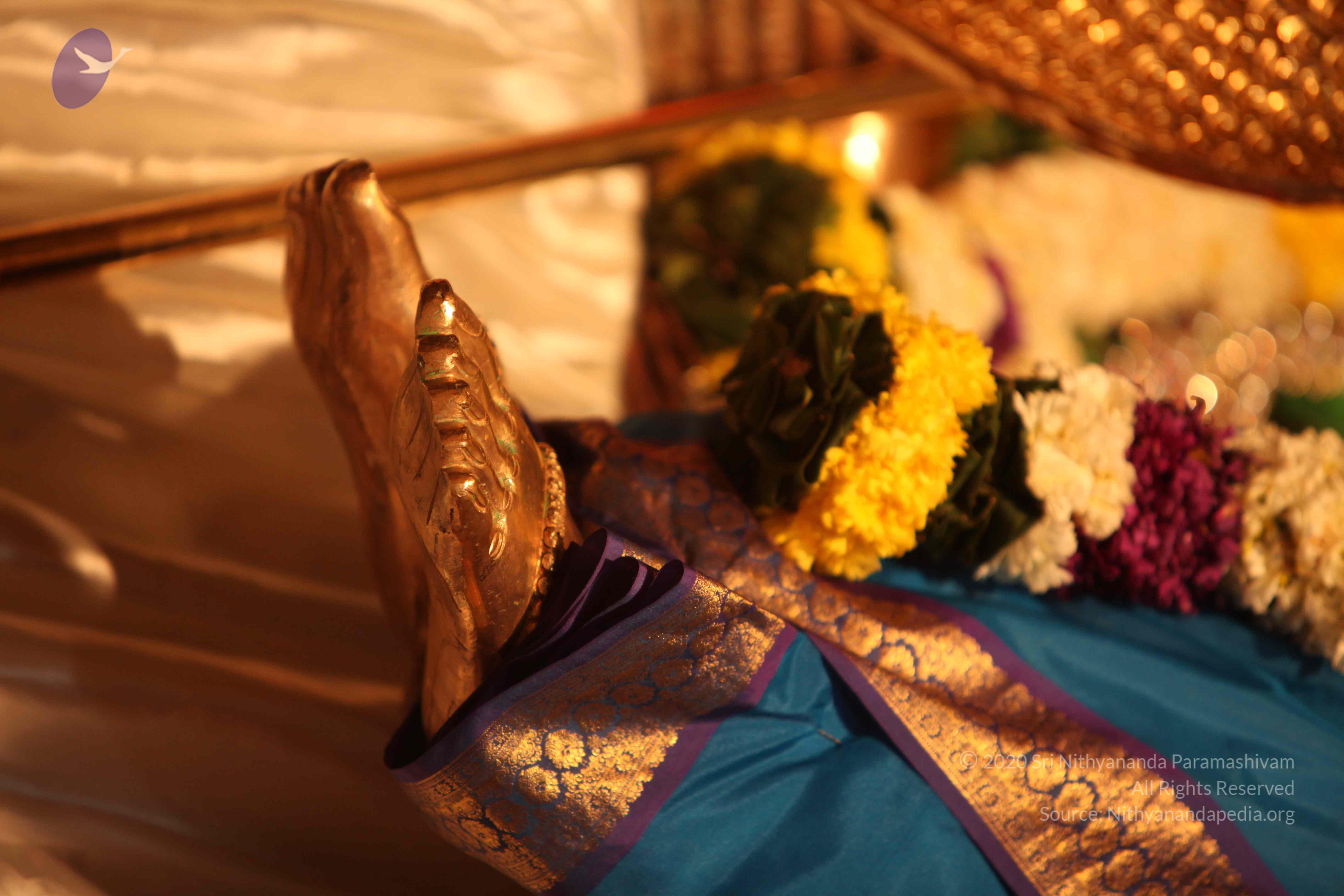 20110225_Photo_1042_IMG_1748_CMP_WM